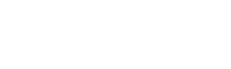 Hamidi